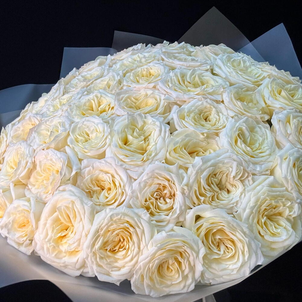 Пионовидные кремовые розы 51 шт (мб 305)