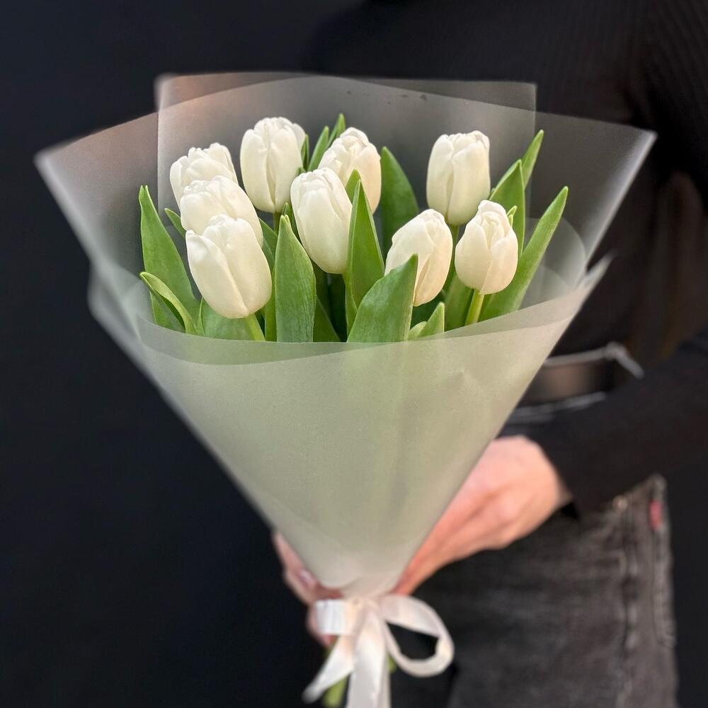 Белые тюльпаны 9 шт (мб 195)