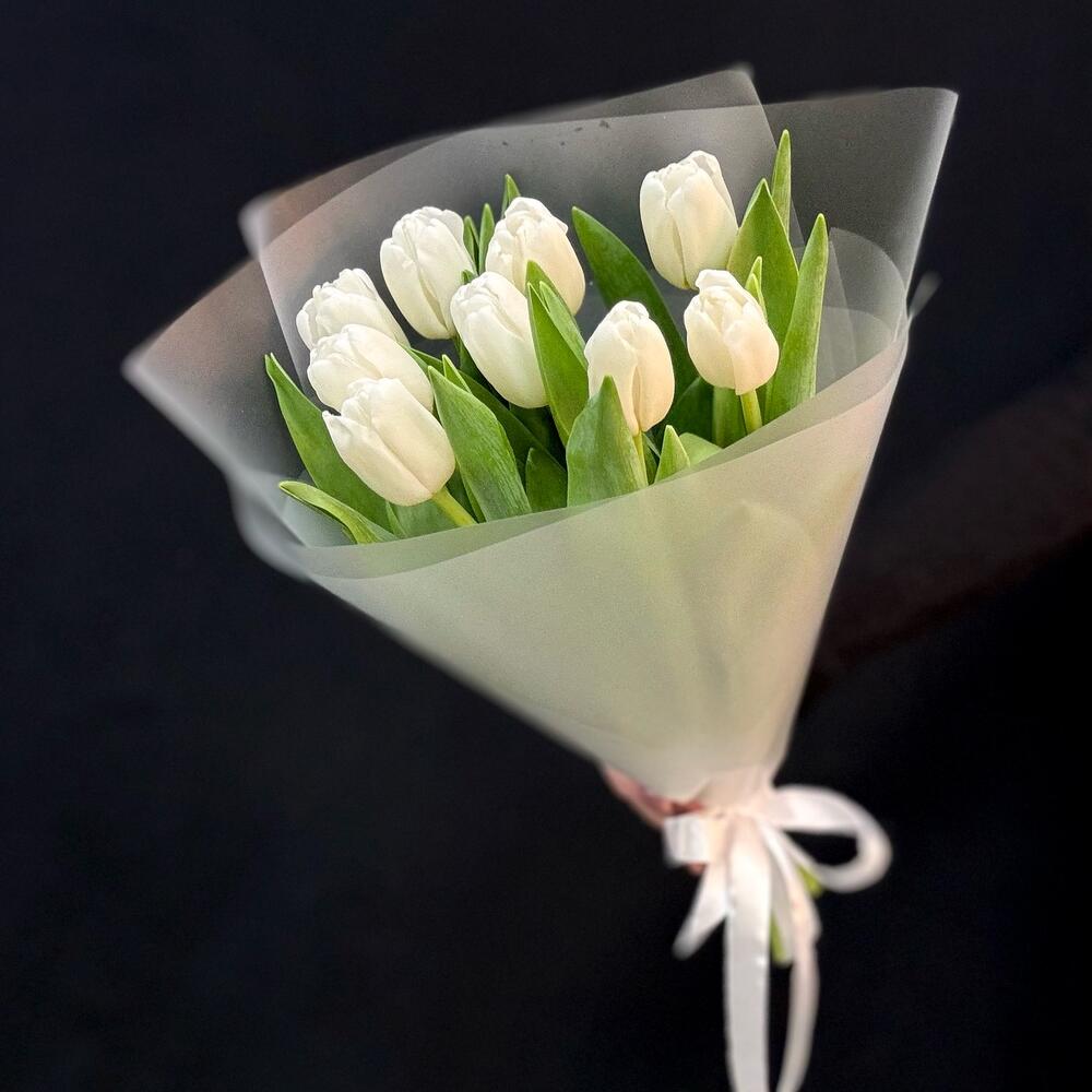 Белые тюльпаны 9 шт (мб 195)