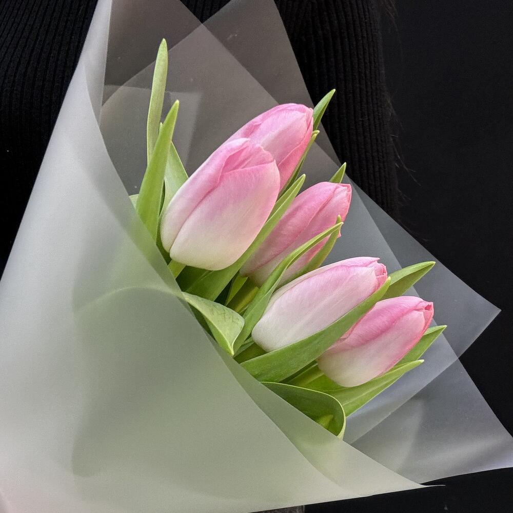 Букет комплимент нежно розовые тюльпаны 5 шт. (мб 170)