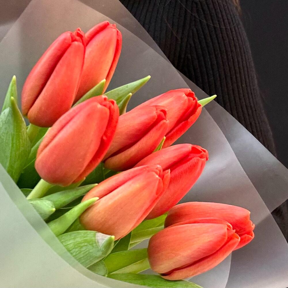 Букет красные тюльпаны 9 шт. (мб 168)