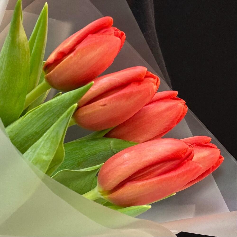 Букет комплимент красные тюльпаны (мб 167)