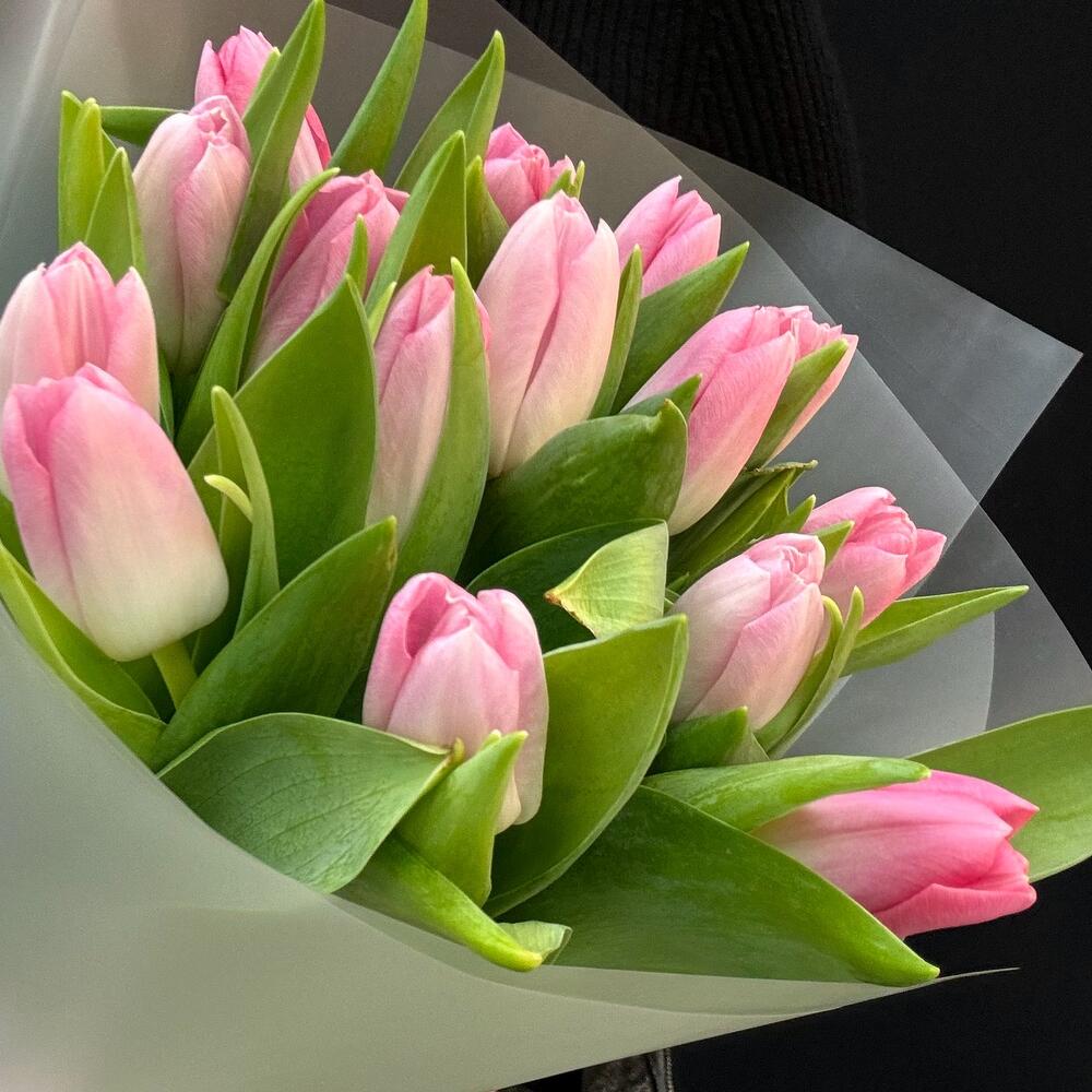Букет нежно розовые тюльпаны 15 шт (мб 164)