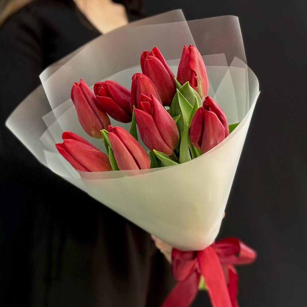 Красные тюльпаны 9 шт (мб 215)