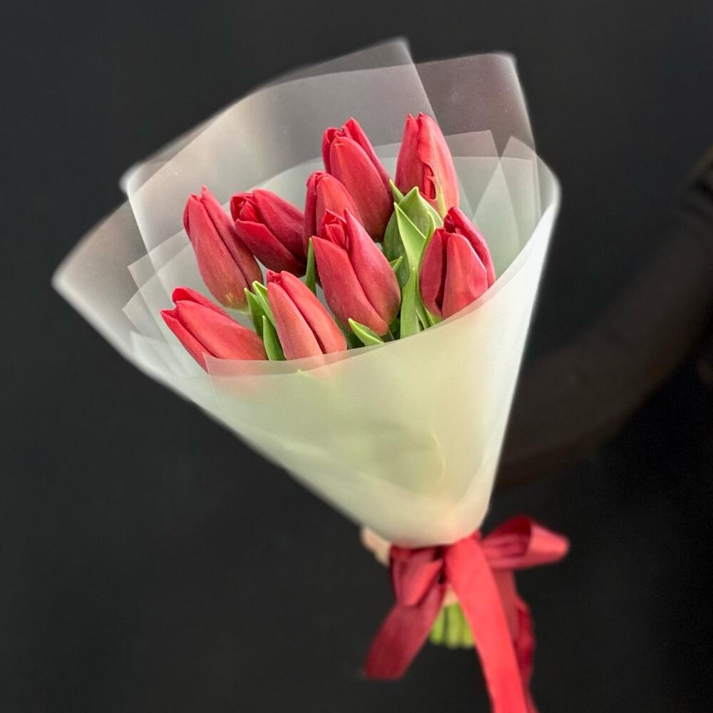 Красные тюльпаны 9 шт (мб 215)