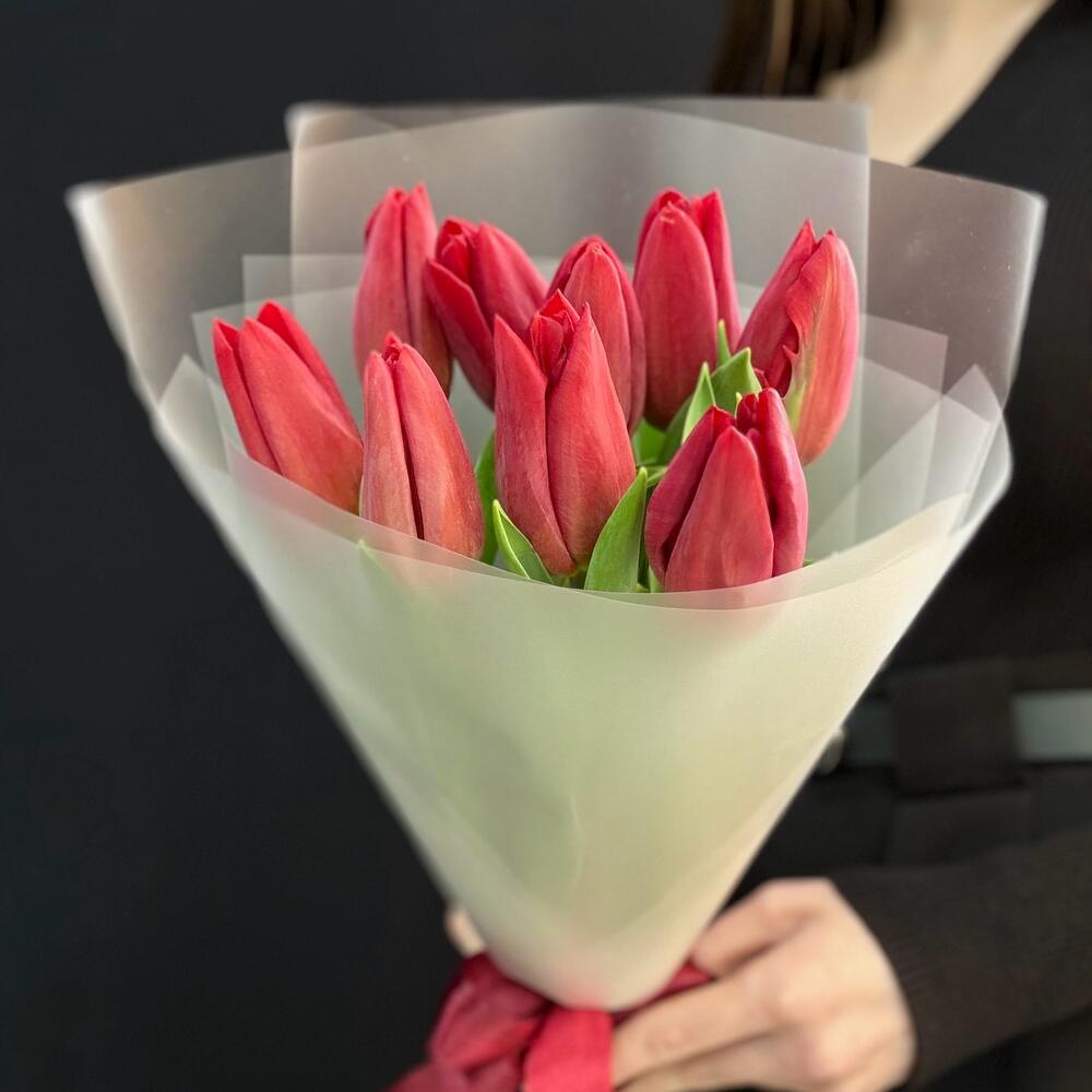 Красные тюльпаны 9 шт (мб 215)