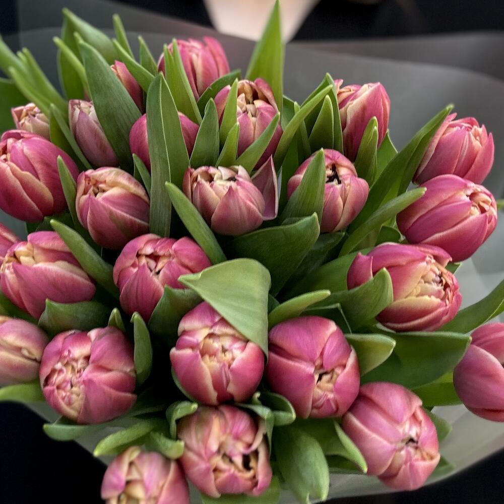 25 пион розовые тюльпаны (мб 214)