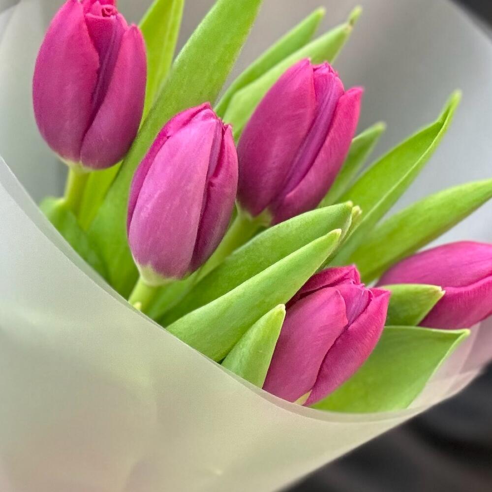 Букет комплимент розовые тюльпаны (мб 219)
