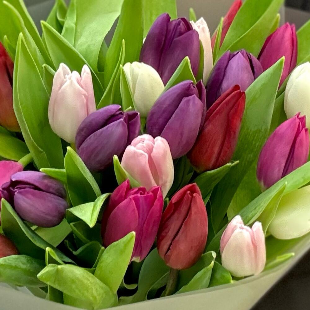 25 тюльпанов микс (мб 218)