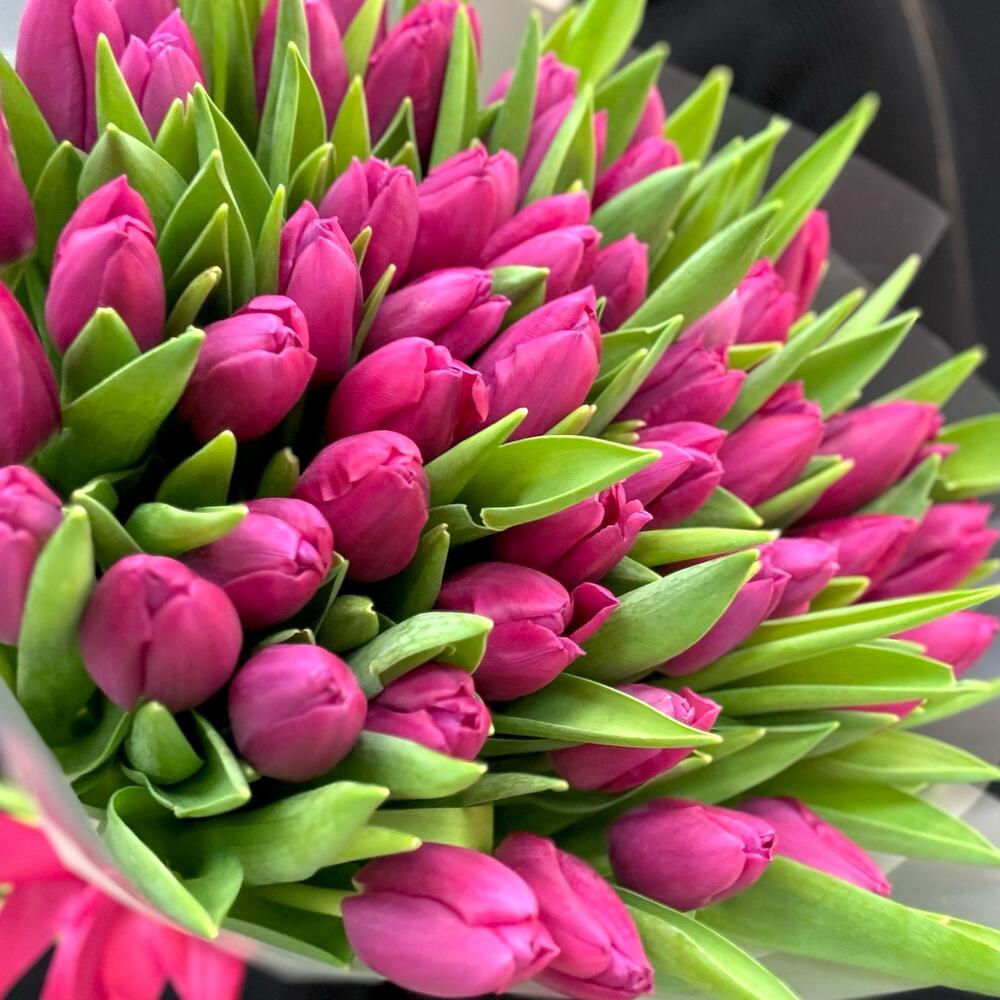 Букет розовые тюльпаны 51 шт (мб 212)