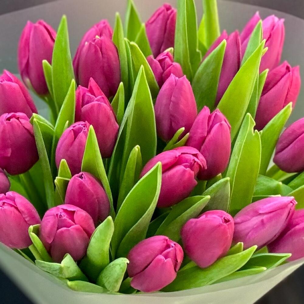 Букет 25 розовых тюльпанов (мб 211)