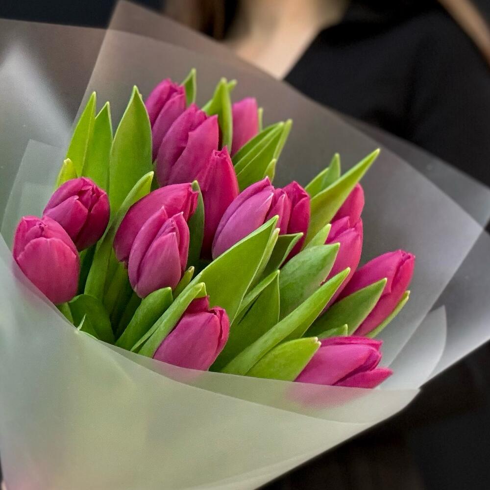 Розовые тюльпаны 15 шт (мб 210)