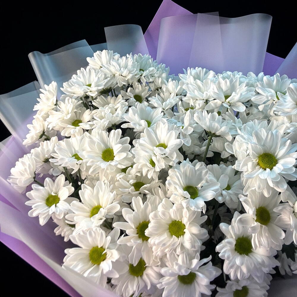 Букет гигант из ромашек (хризантема) 