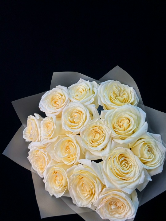 Букет кремовых пион роз 15 шт 