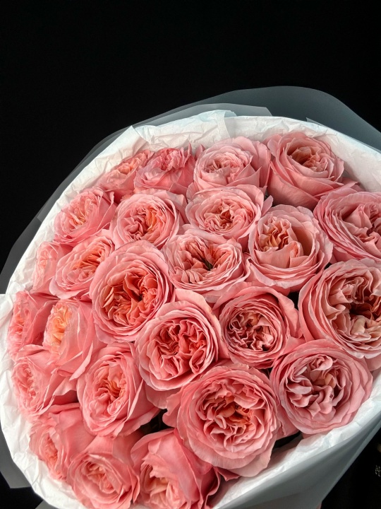 Пионовидные розовые розы 25 шт