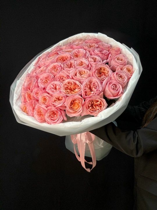 51 пионовидная розовая роза 