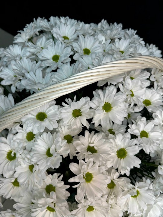 Корзина белых ромашек