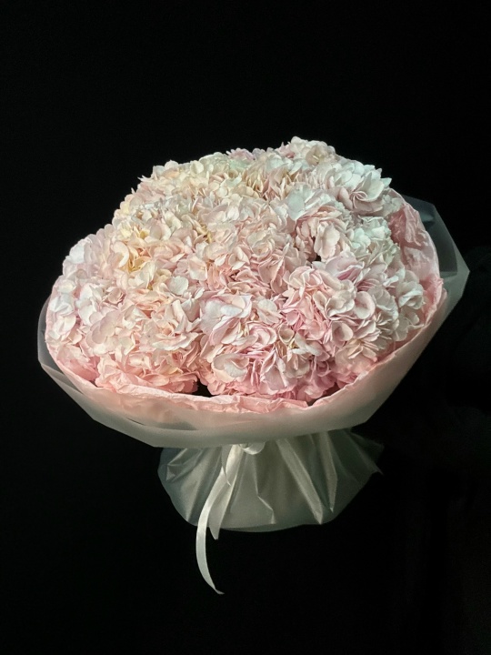 Букет розовых гортензий 15 шт 