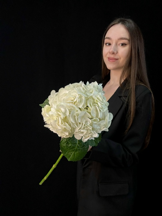 Белая гортензия