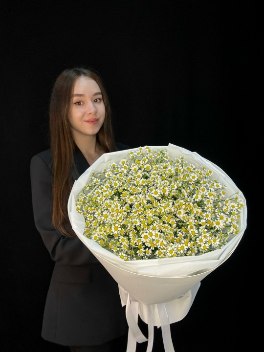 Букет ромашек (матрикария) 25 шт