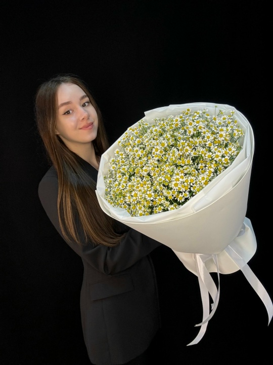 Букет ромашек (матрикария) 25 шт