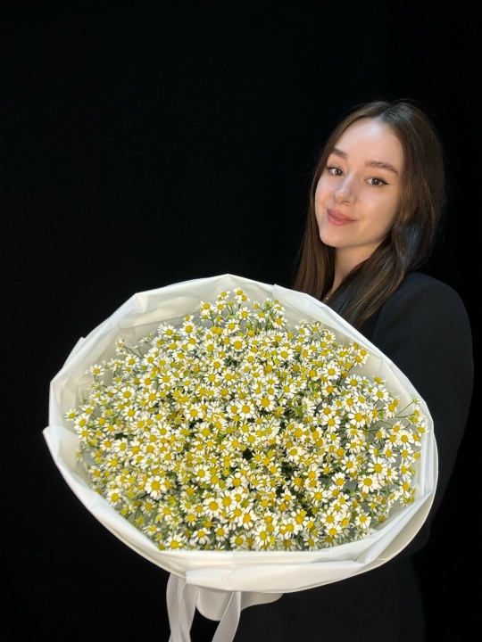 Букет ромашек (матрикария) 25 шт