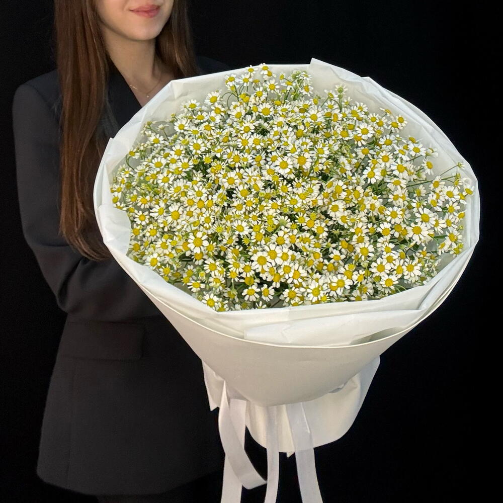 Букет из ромашек (матрикария) 51 шт