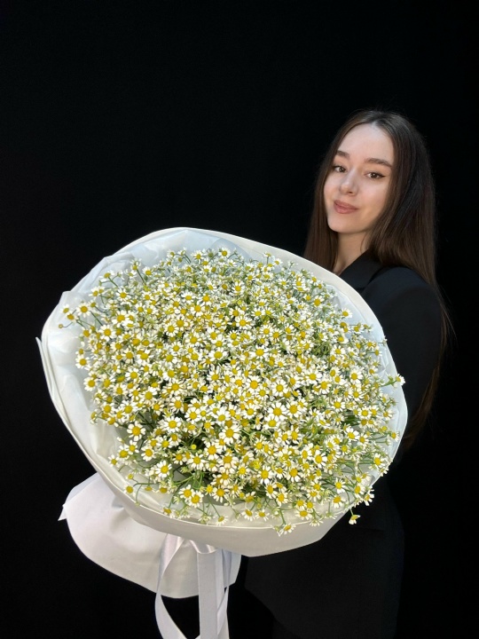 Букет из ромашек (матрикария) 51 шт