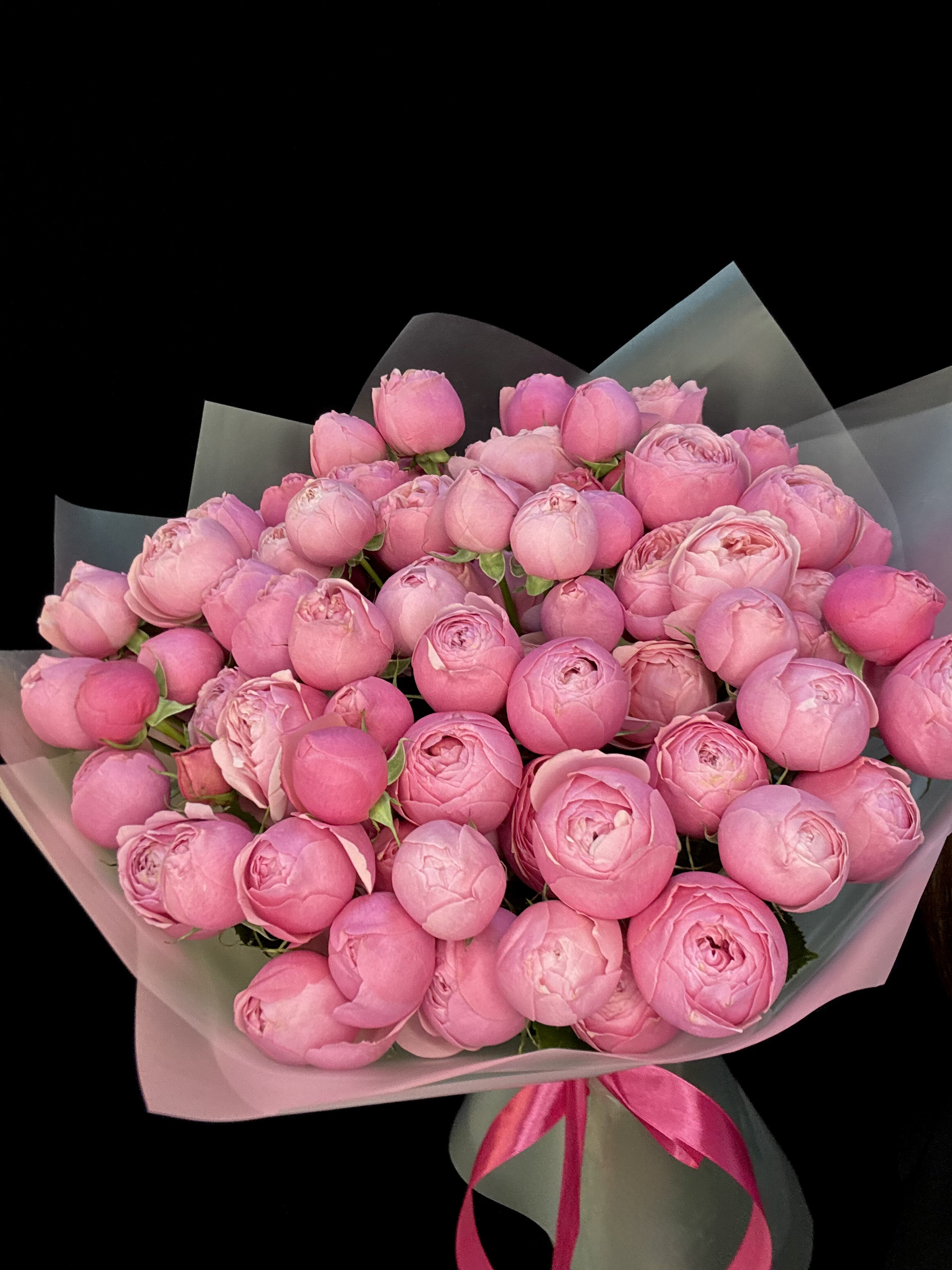 Букет из 25 малиновых пионовидных кустовых роз Silva Pink Кения 50 см + Ваза в подарок