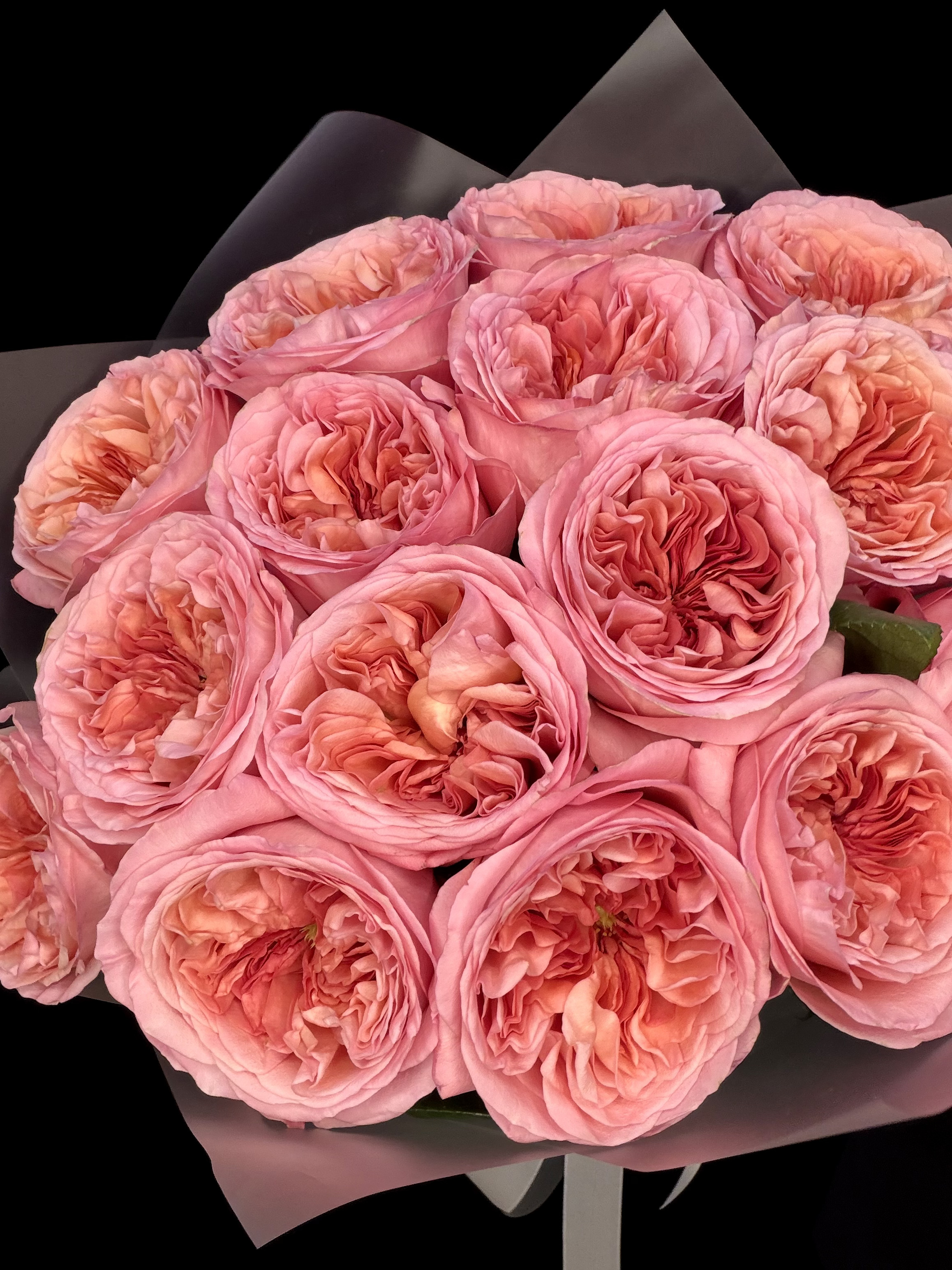 Букет из 15 розовых пионовидных роз Pink Xpression Эквадор 50 см