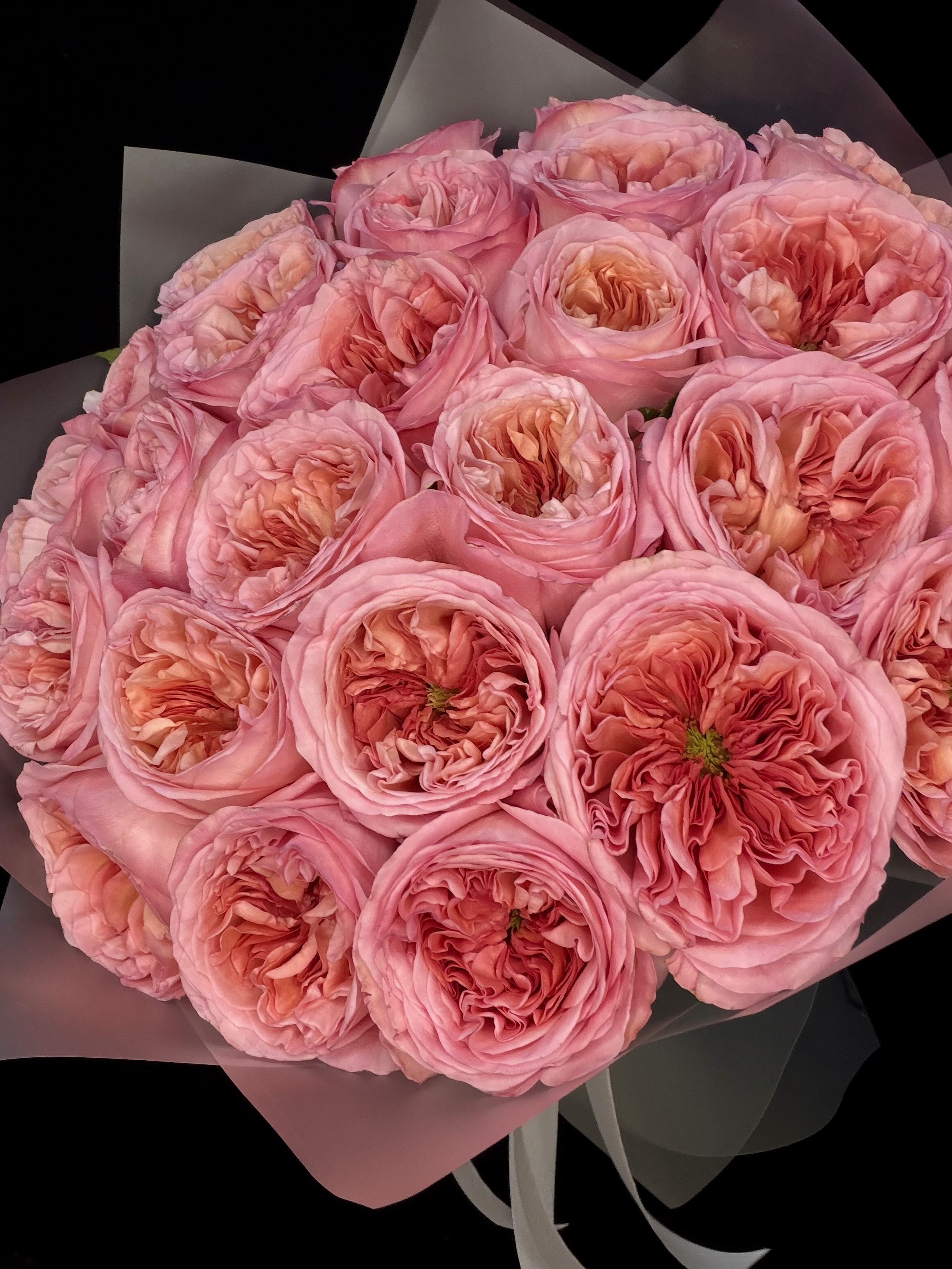 Букет из 25 розовых пионовидных роз Pink Xpression Эквадор 50 см