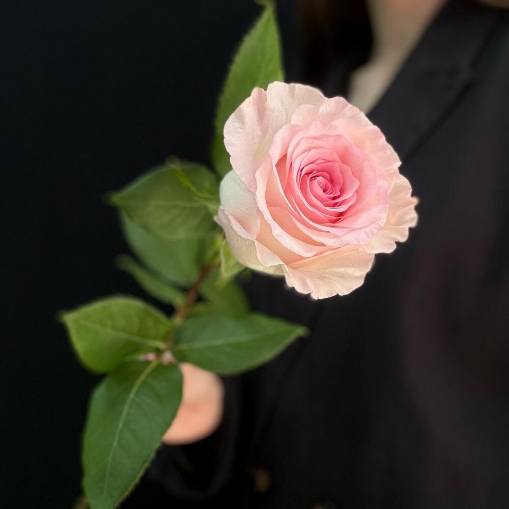 Цветы поштучно