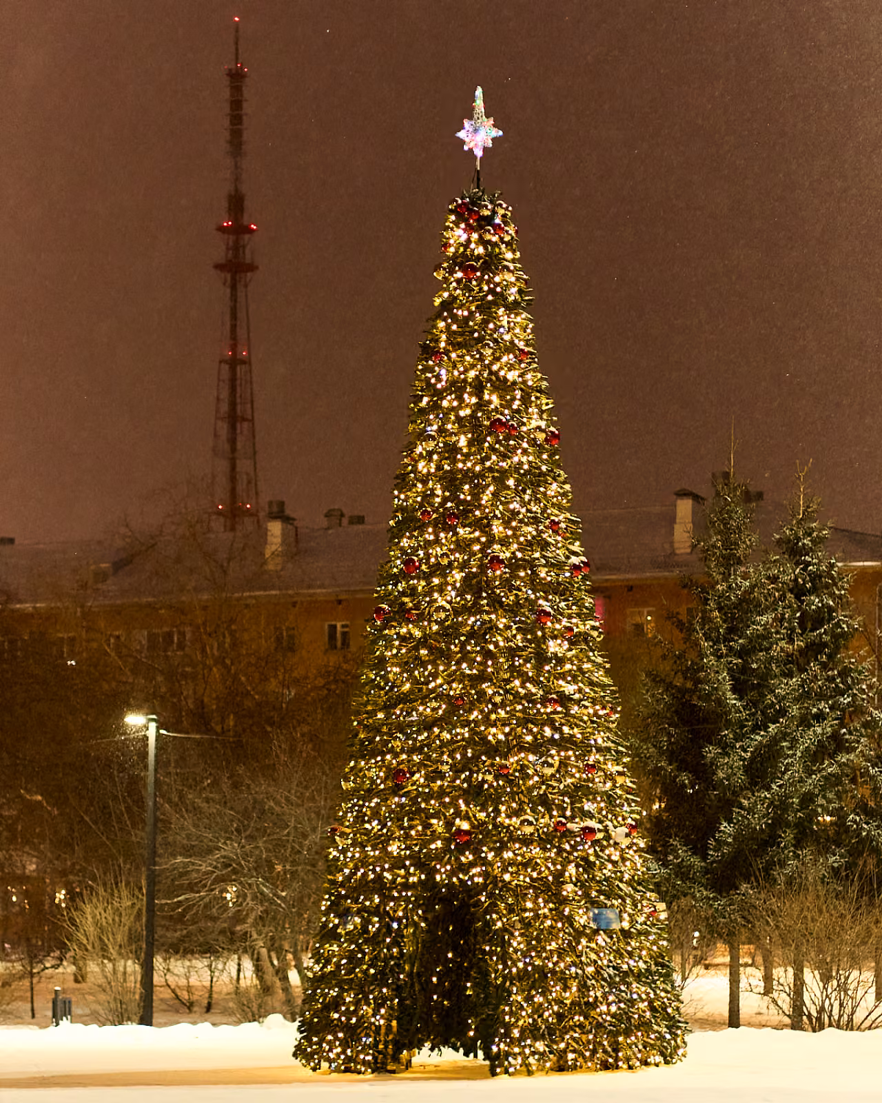 Ель с аркой