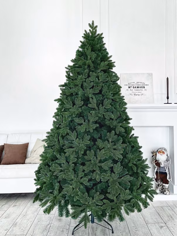 Ель «Миланская»