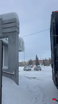С Новым годом! В этом году первой доставкой станет продукция с...