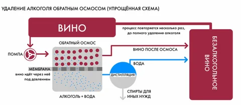 Безалкогольное вино методы.jpg
