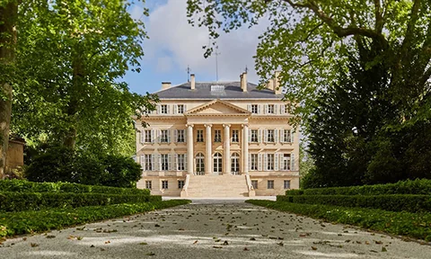 Вино Chateau Margaux