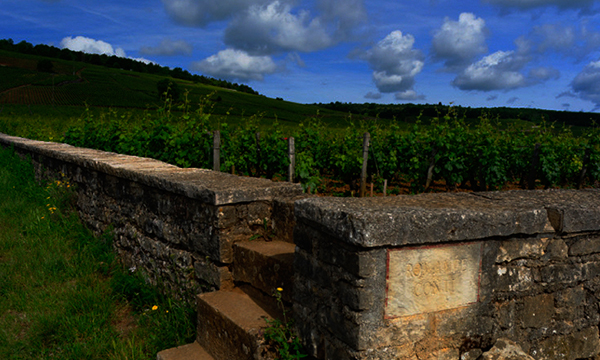 Величественный Domaine de la Romanee-Conti