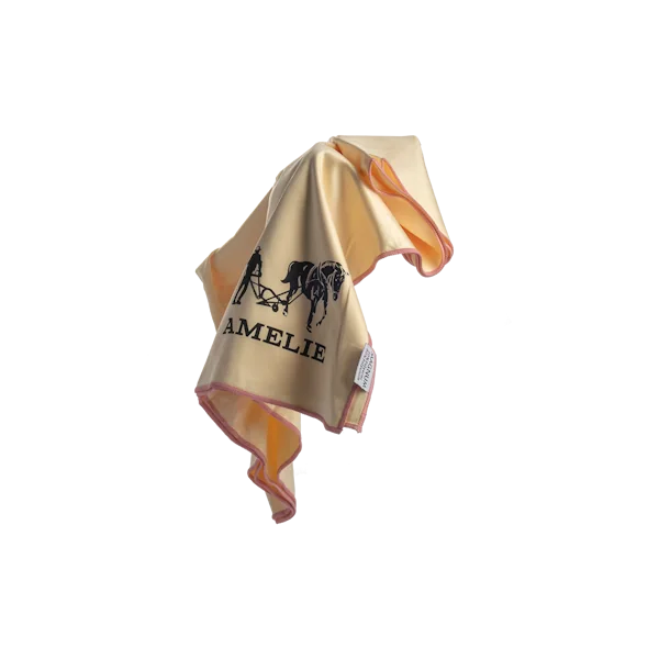 30cffde4fa451401df990511b8846e56