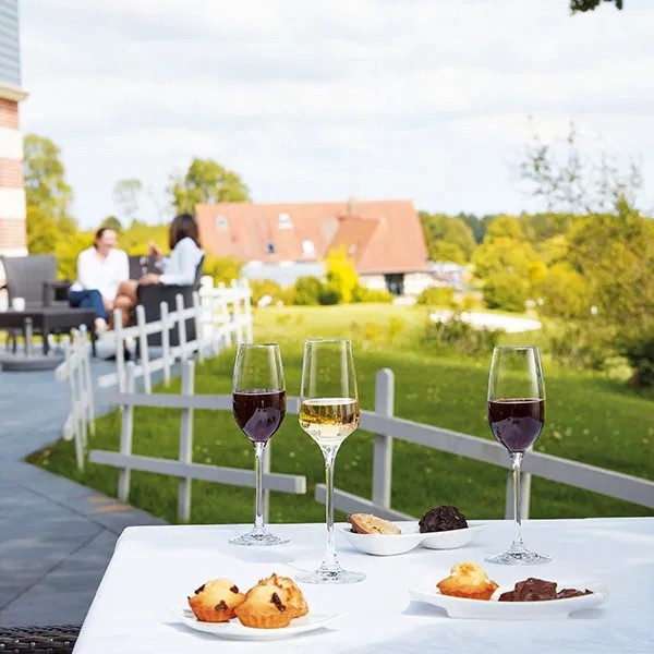 Chef-sommelier_3_addwine