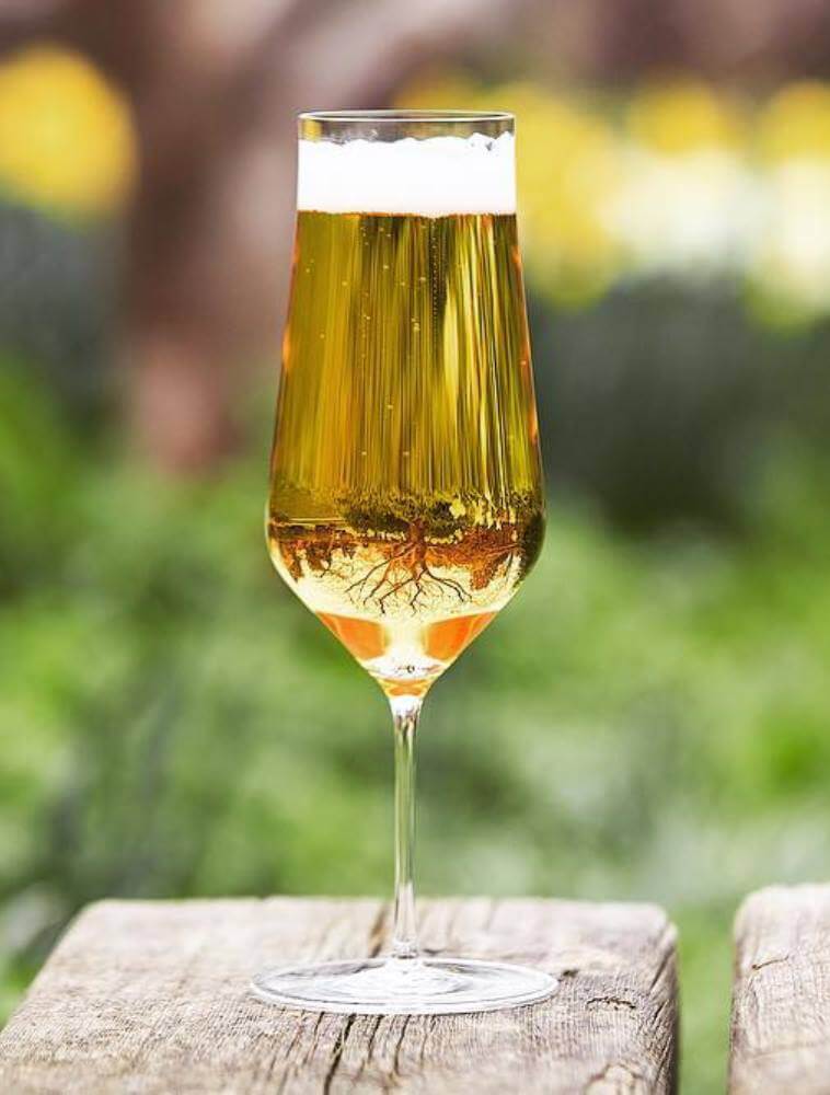 beer4