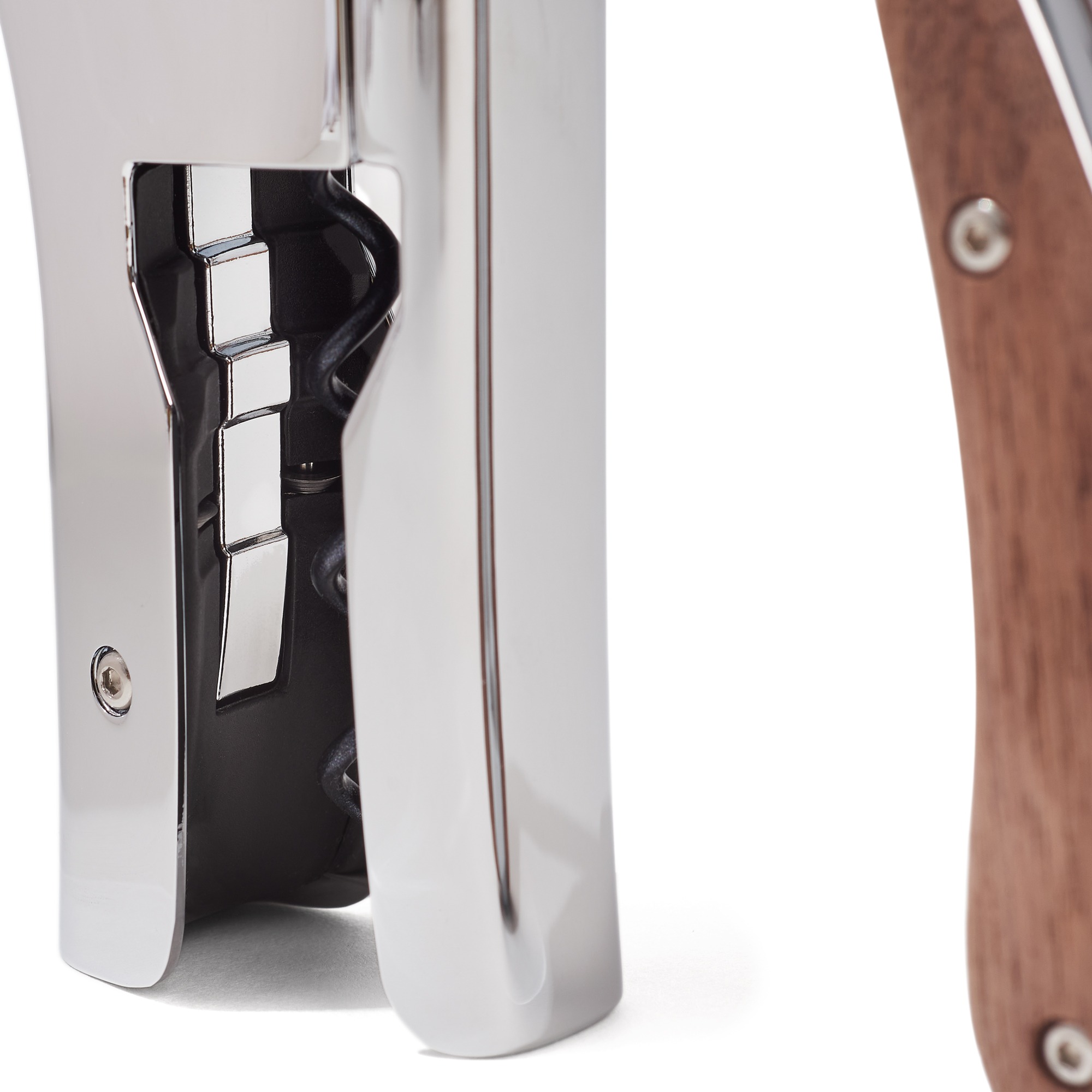 Oeno-Motion-WC-focus2