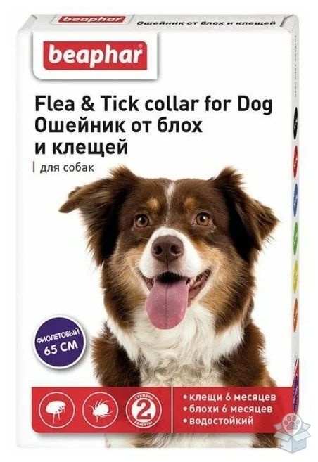 Beaphar: Ошейник Flea & Tick collar for Dog, от блох и клещей, для собак, фиолетовый, 65 см