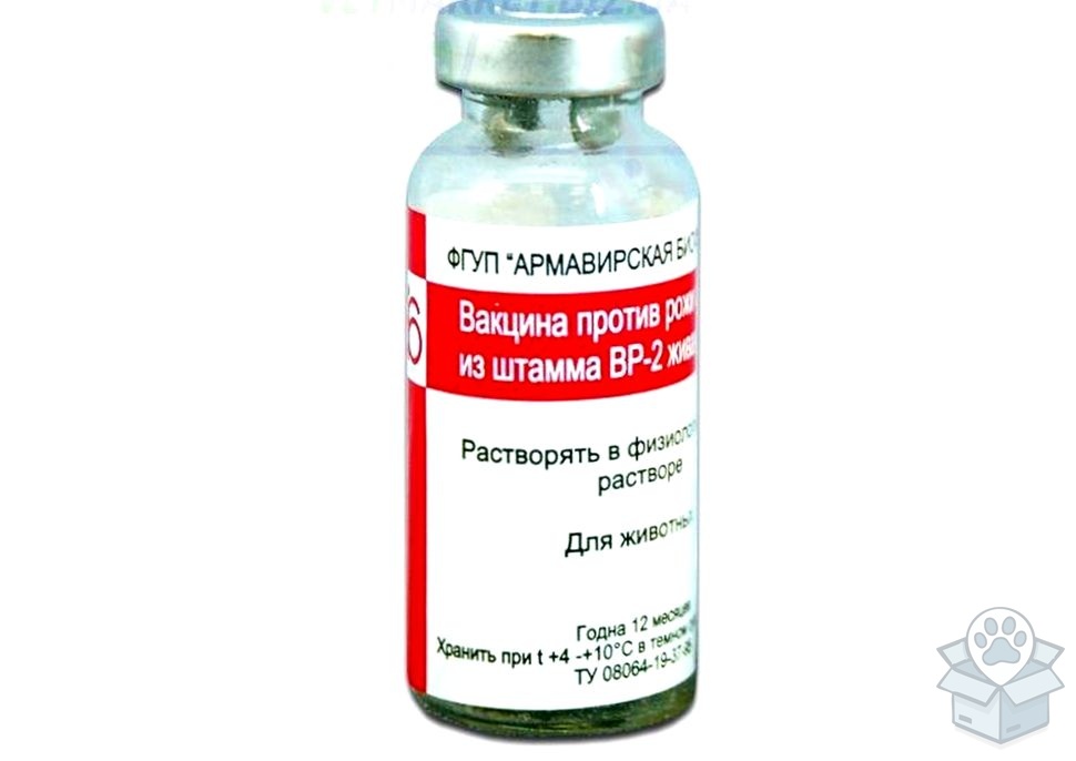 Вакцина ВР-2  против рожи свиней, сухая 20 доз