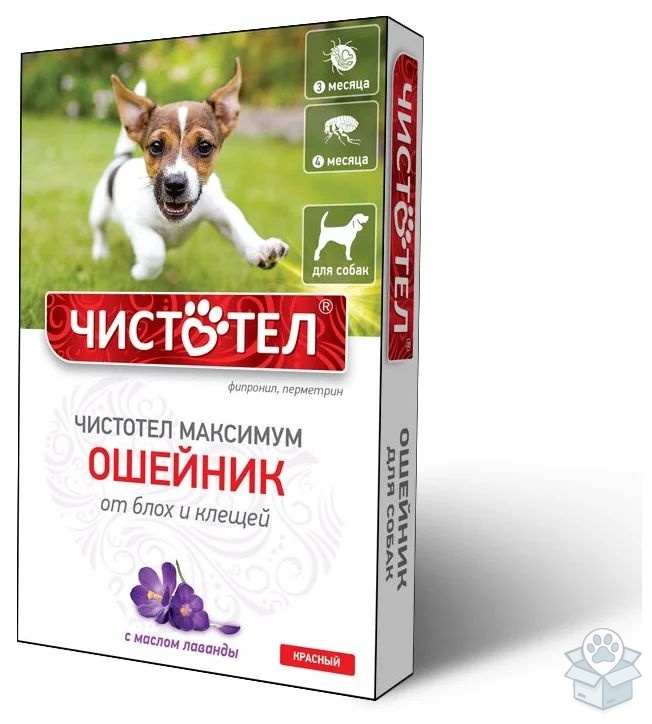 Чистотел-Максимум: ошейник от блох и клещей, для собак, красный
