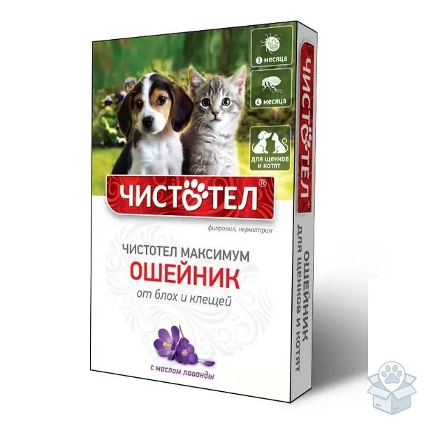 Чистотел-Максимум: ошейник от блох, для щенков и котят