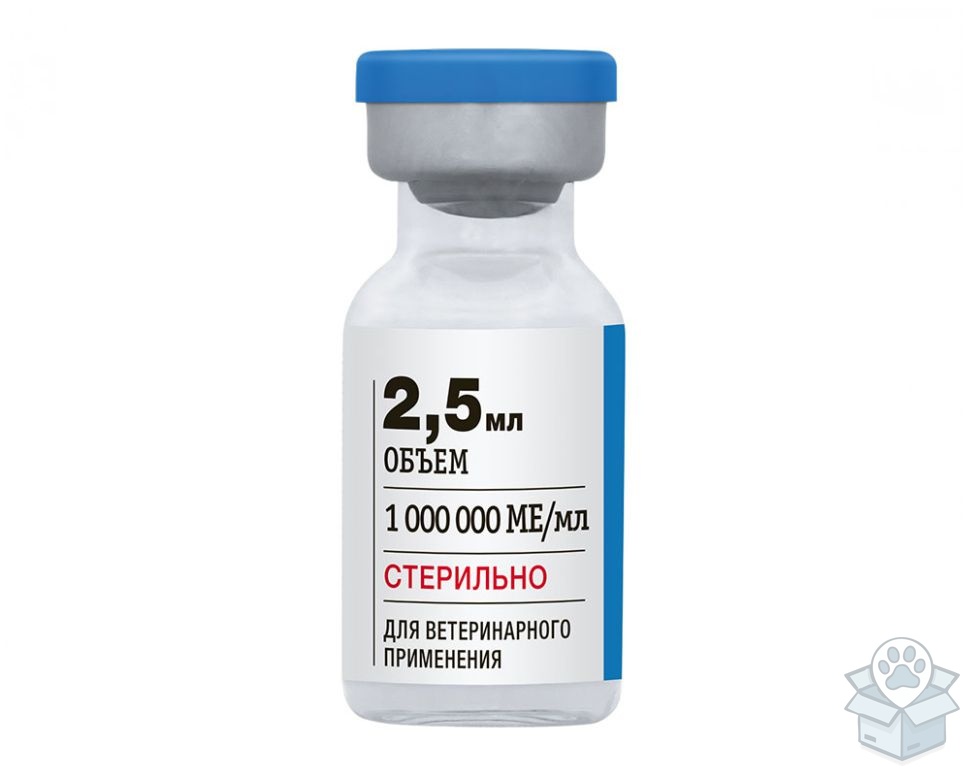 Биоинвест: Догферон раствор для инъекций, для собак, 5 фл./уп