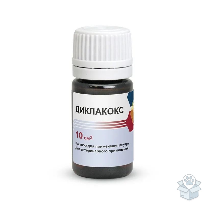Асконт+: Диклакокс Форте, раствор оральный, 10 мл х 10 шт