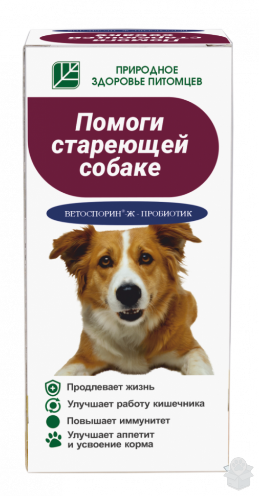 Ветоспорин-Ж пробиотик Помоги стареющей собаке, 100 мл