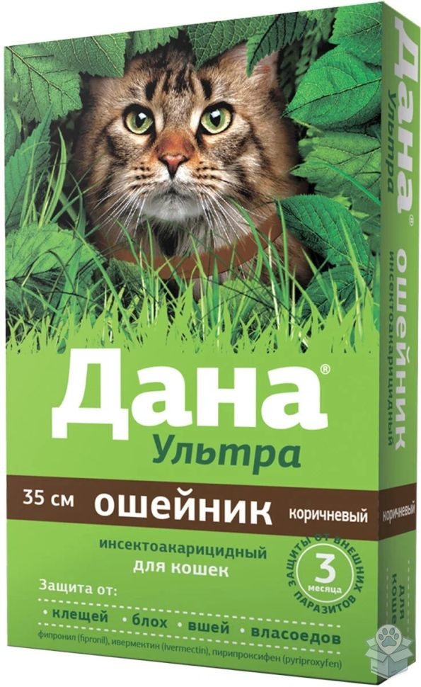 Apicenna: Дана Ультра, коричневый, ошейник для кошек, 35 см